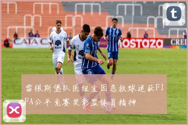 雷根斯堡队医纽金因急救球迷获FIFA公平竞赛奖彰显体育精神