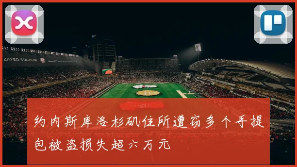 约内斯库洛杉矶住所遭窃多个手提包被盗损失超六万元